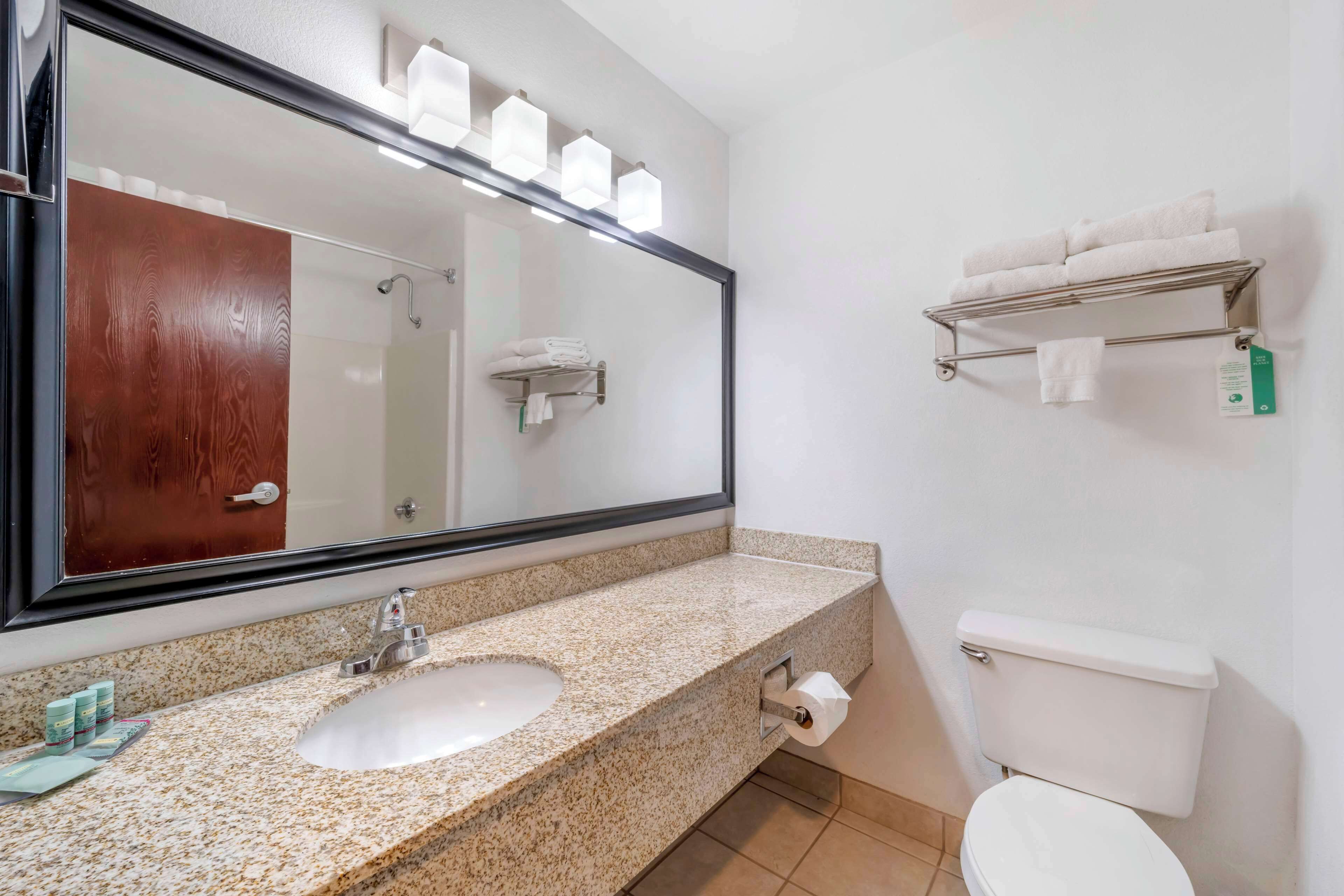 combined shower/bathtub, free toiletries, hair dryer, towels