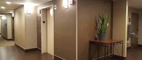 A hotel hallway with a potted plant on a metal table, doors with numbers, and a hand dryer.