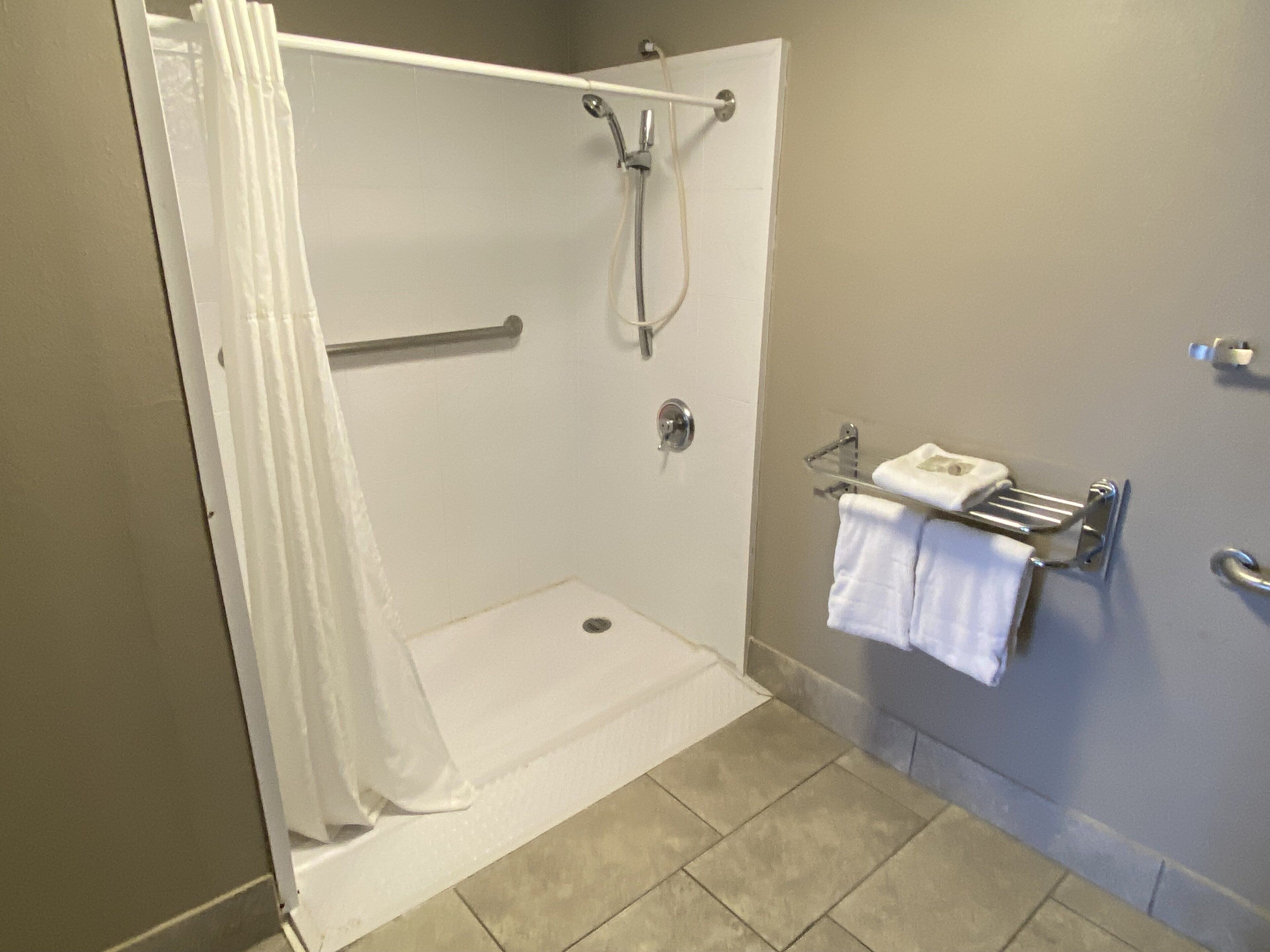 Deluxe Room, 1 King Bed, Accessible, Non Smoking (Roll-in Shower) | Bathroom