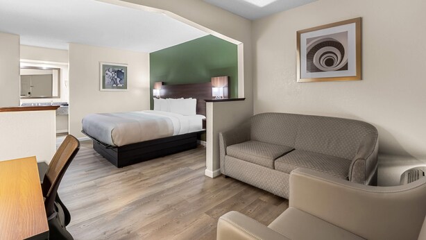 Una habitación de hotel con una cama, un sofá, un escritorio y una silla.