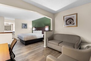 Una habitación de hotel con una cama, un sofá, un escritorio y una silla.