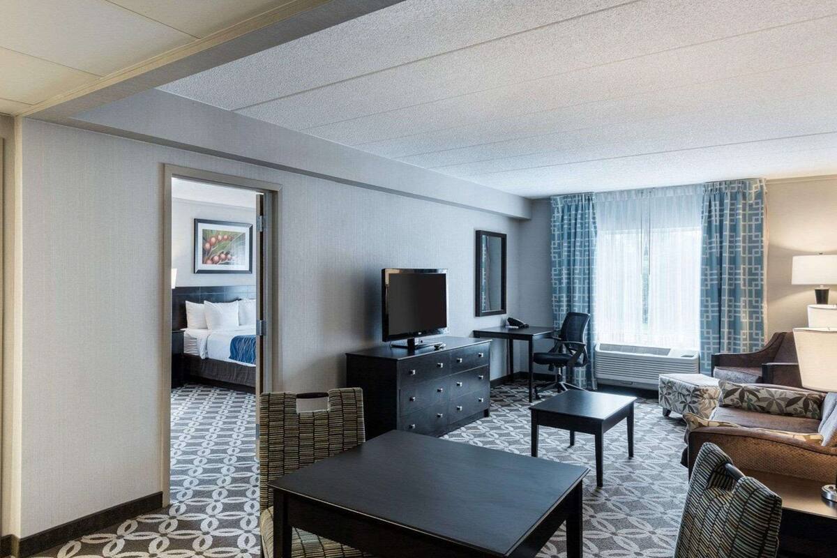 suite, 1 king bed with sofa bed, non smoking | premium bedding, in-room safe, desk, blackout curtains