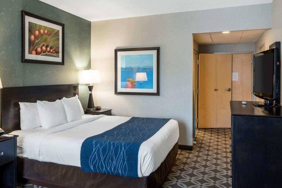 A hotel room with a bed, a desk, a TV, and two framed pictures on the wall.