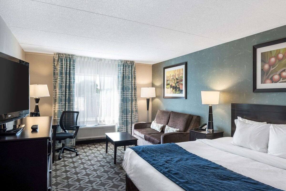 standard room, non smoking | premium bedding, in-room safe, desk, blackout curtains