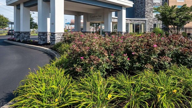 A modern Comfort Inn with a covered outdoor seating area, stone facade, and landscaped garden. - Comfort Inn Rehoboth Beach (Rehoboth Beach)