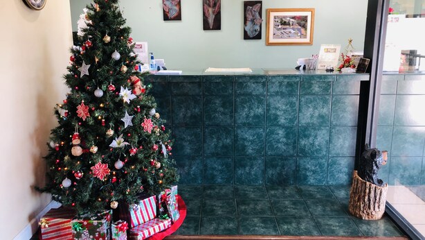 A reception area with a Christmas tree, framed artwork, and a reception desk. - Relax Inn Perry (Perry)