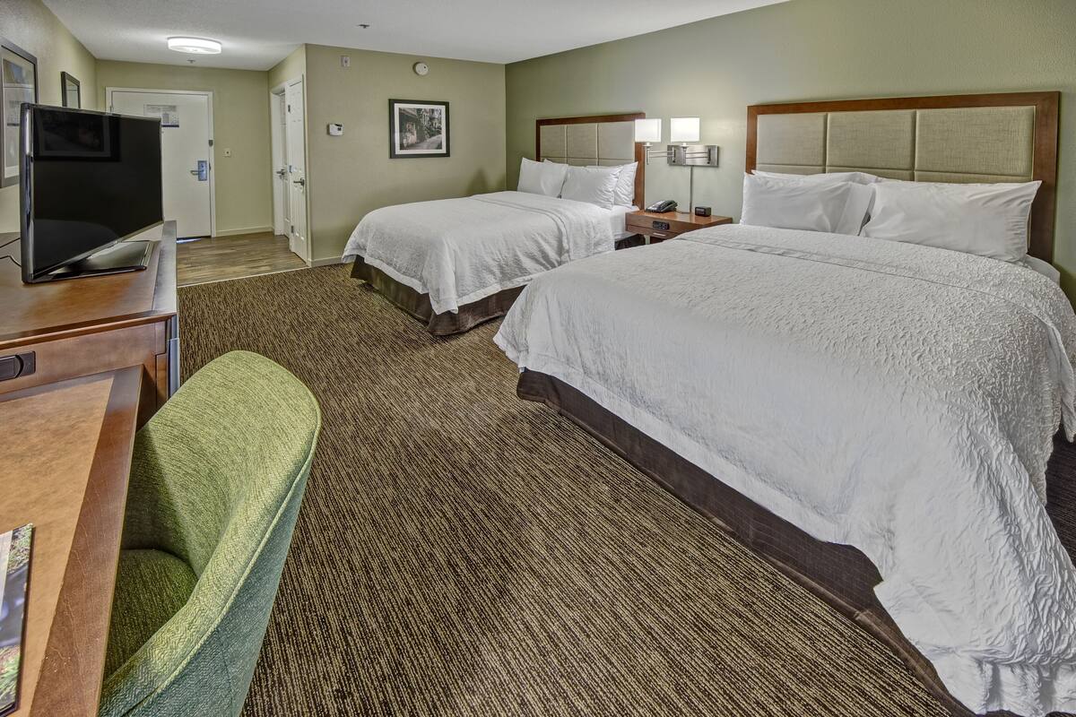 A hotel room with two beds, a desk with a television, a chair, and a carpeted floor.