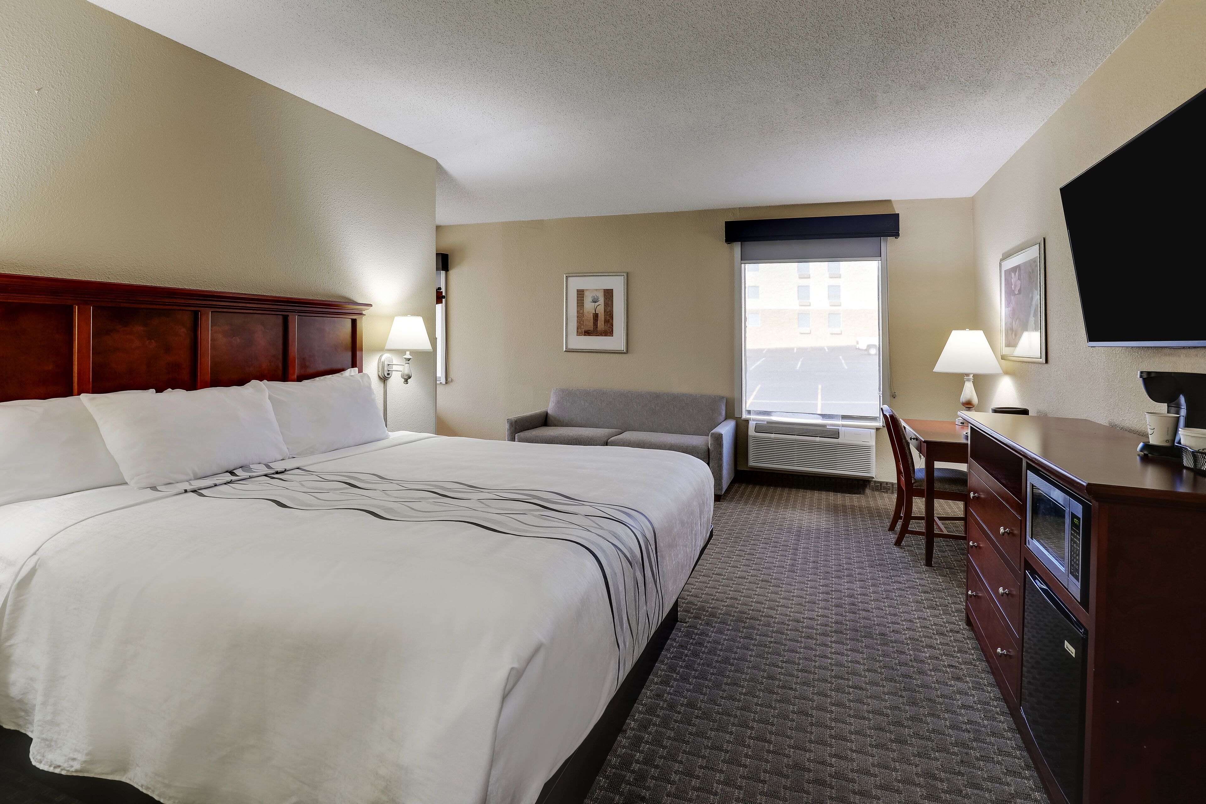 premium room, 1 king bed, jetted tub | iron/ironing board, free wifi, bed sheets