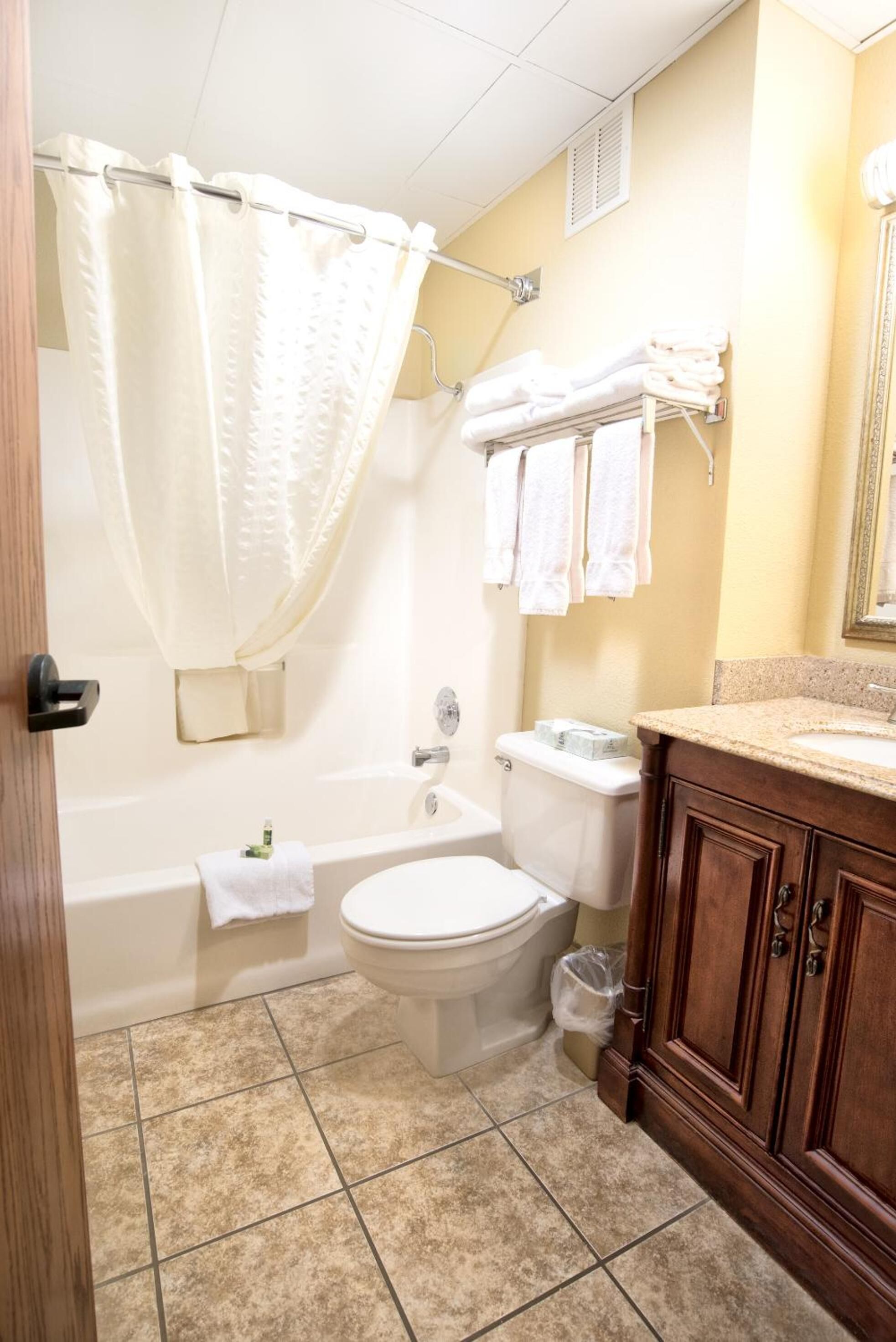 combined shower/bathtub, eco-friendly toiletries, hair dryer, towels