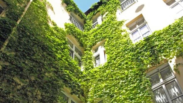 Un callejón estrecho con edificios cubiertos de hiedra verde.