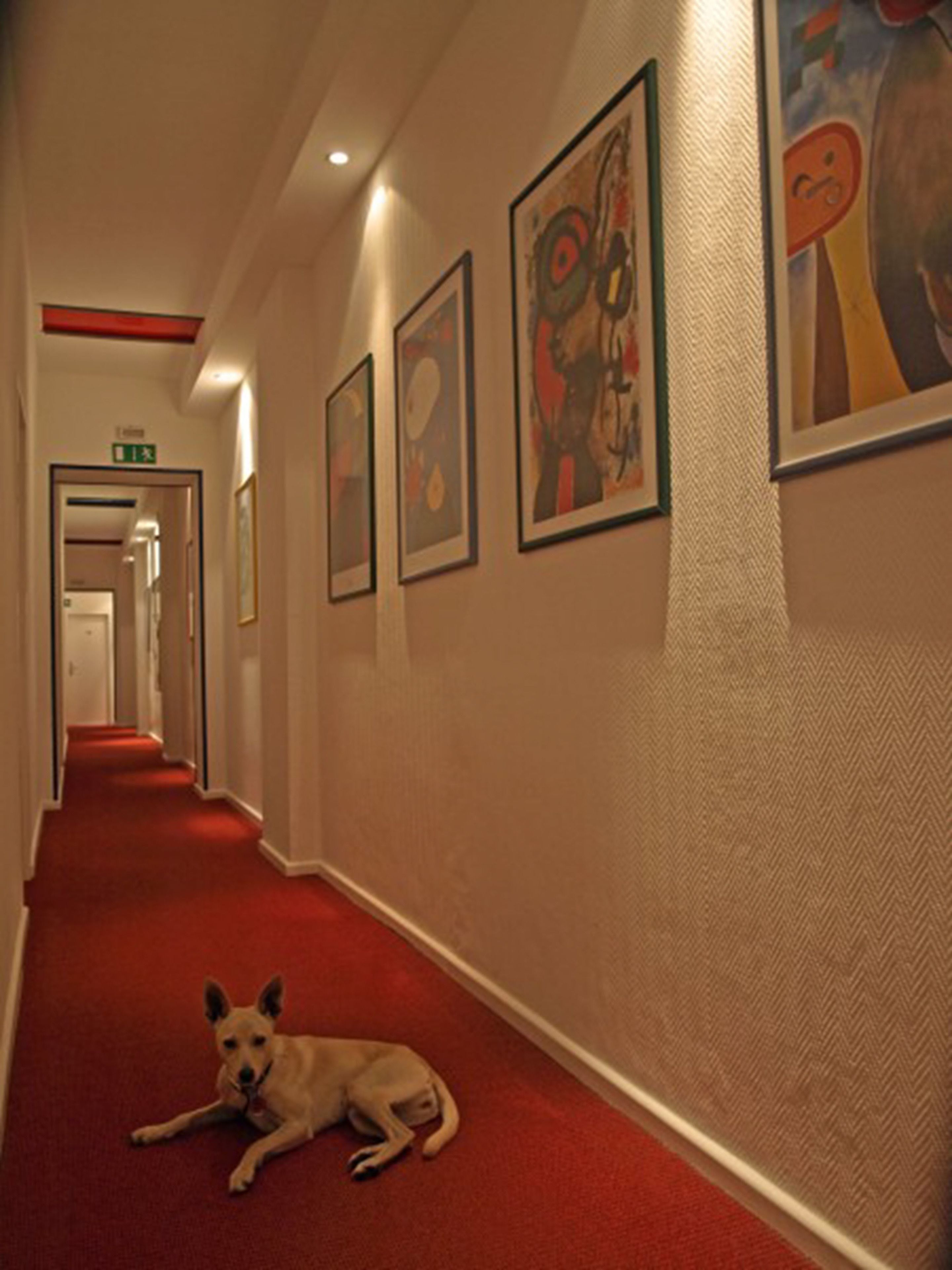 Photo - Art Hotel Charlottenburger Hof Berlin