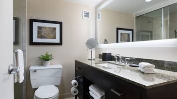 A modern bathroom with a toilet, sink, and mirror.