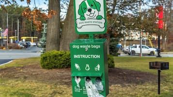 Servicios para mascotas