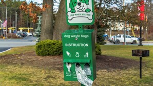 Una estación de recogida de deseches caninos con un letrero verde e ilustración de un perro caricaturesco.