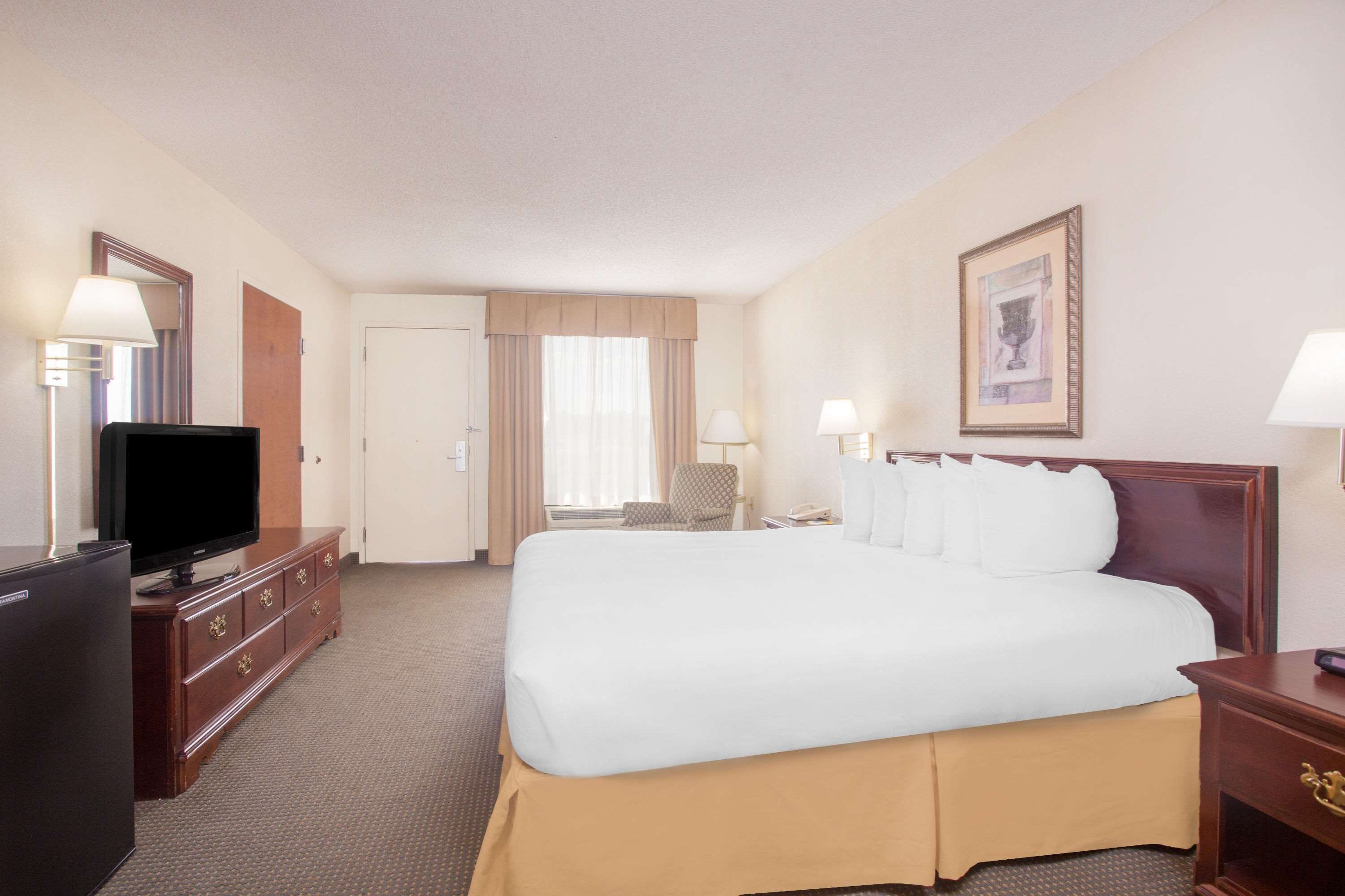A hotel room with a large bed, a television, a desk with a lamp, and a framed picture on the wall.