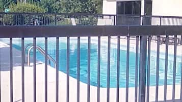 Seasonal outdoor pool, sun loungers