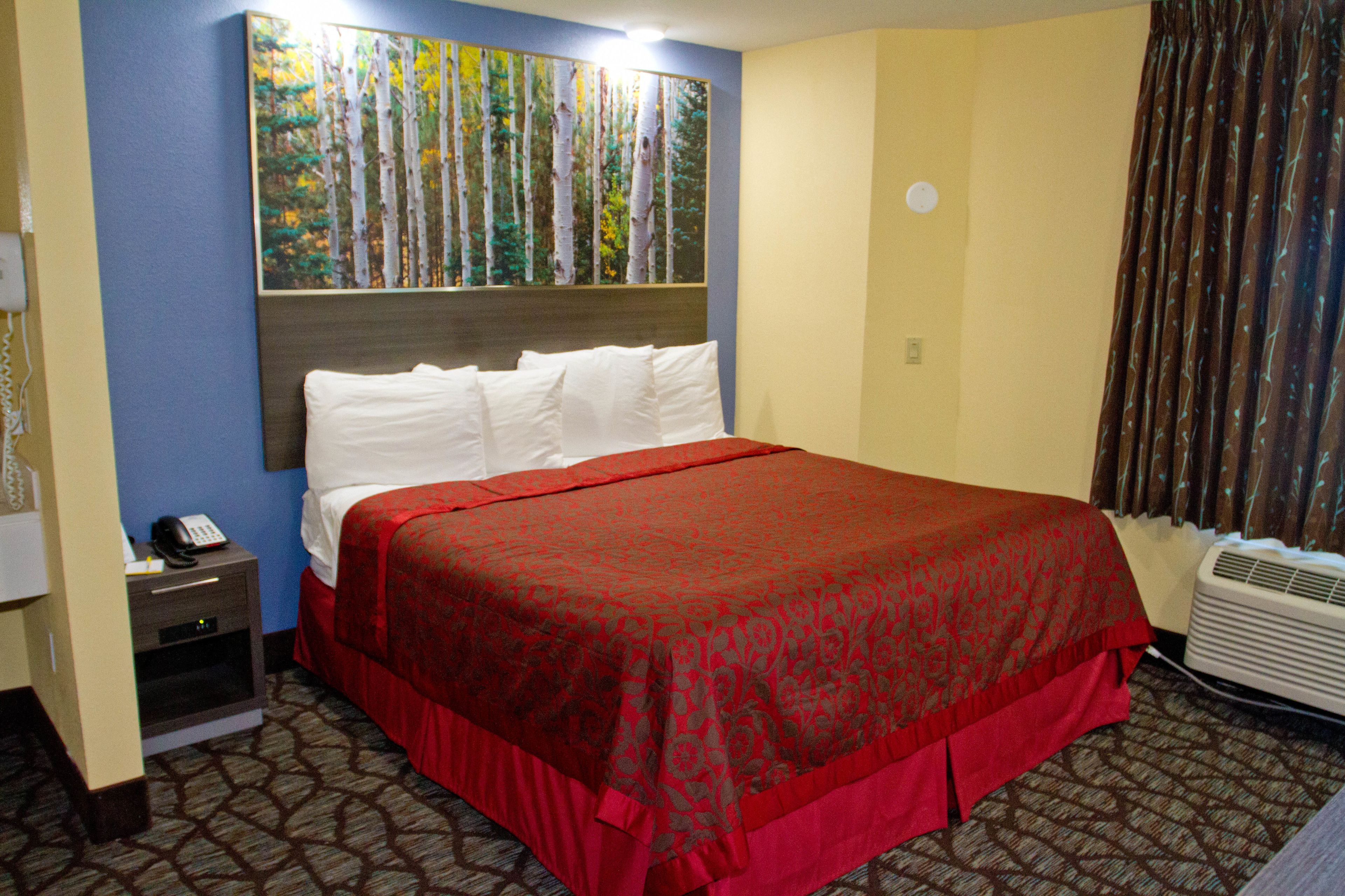 A hotel room with a large bed, a nightstand with a phone, a painting on the wall, and an air conditioning unit.