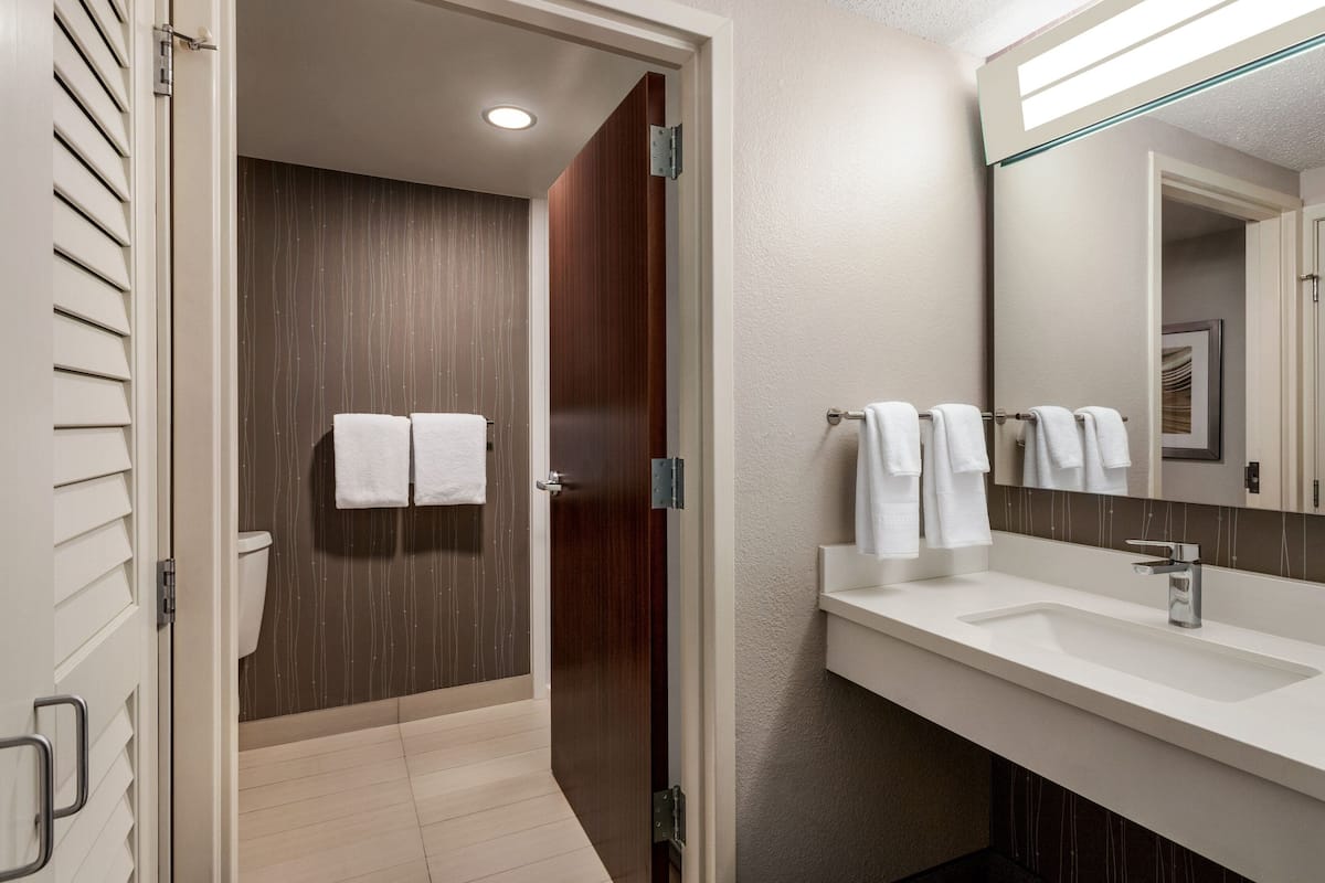 combined shower/bathtub, free toiletries, hair dryer, towels