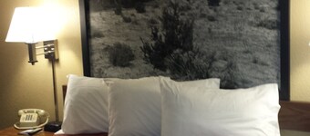 Super 8 by Wyndham Las Cruces/White Sands Area