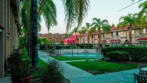 Outdoor pool, sun loungers