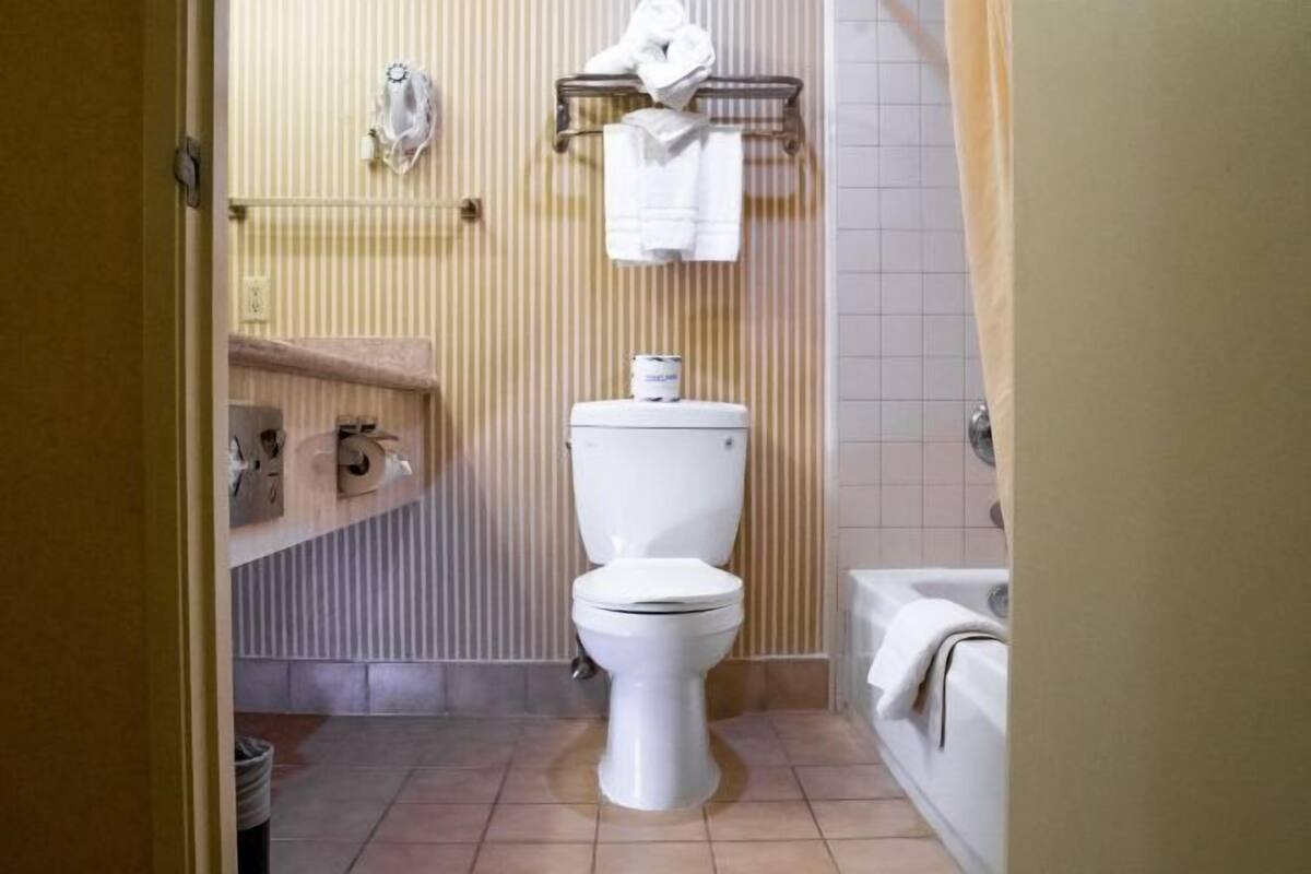 Shower, free toiletries, hair dryer, towels
