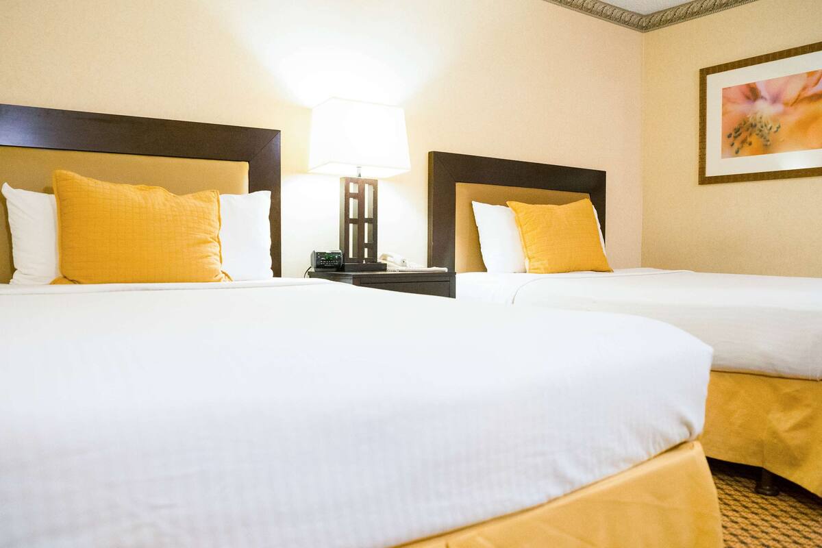A hotel room with two beds, each with white bedding and yellow pillows. There is a nightstand with a lamp and a telephone between the beds.