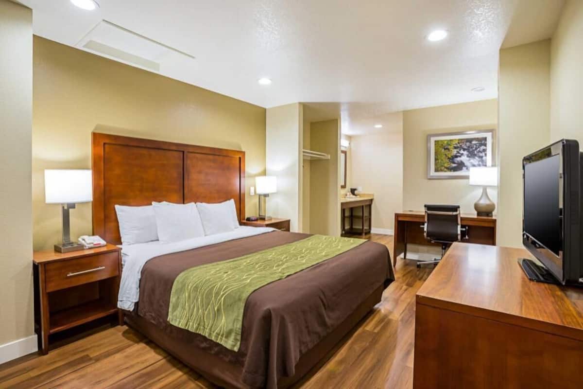 A hotel room with a bed, bedside tables, a desk, a chair, a television, and a mirror.