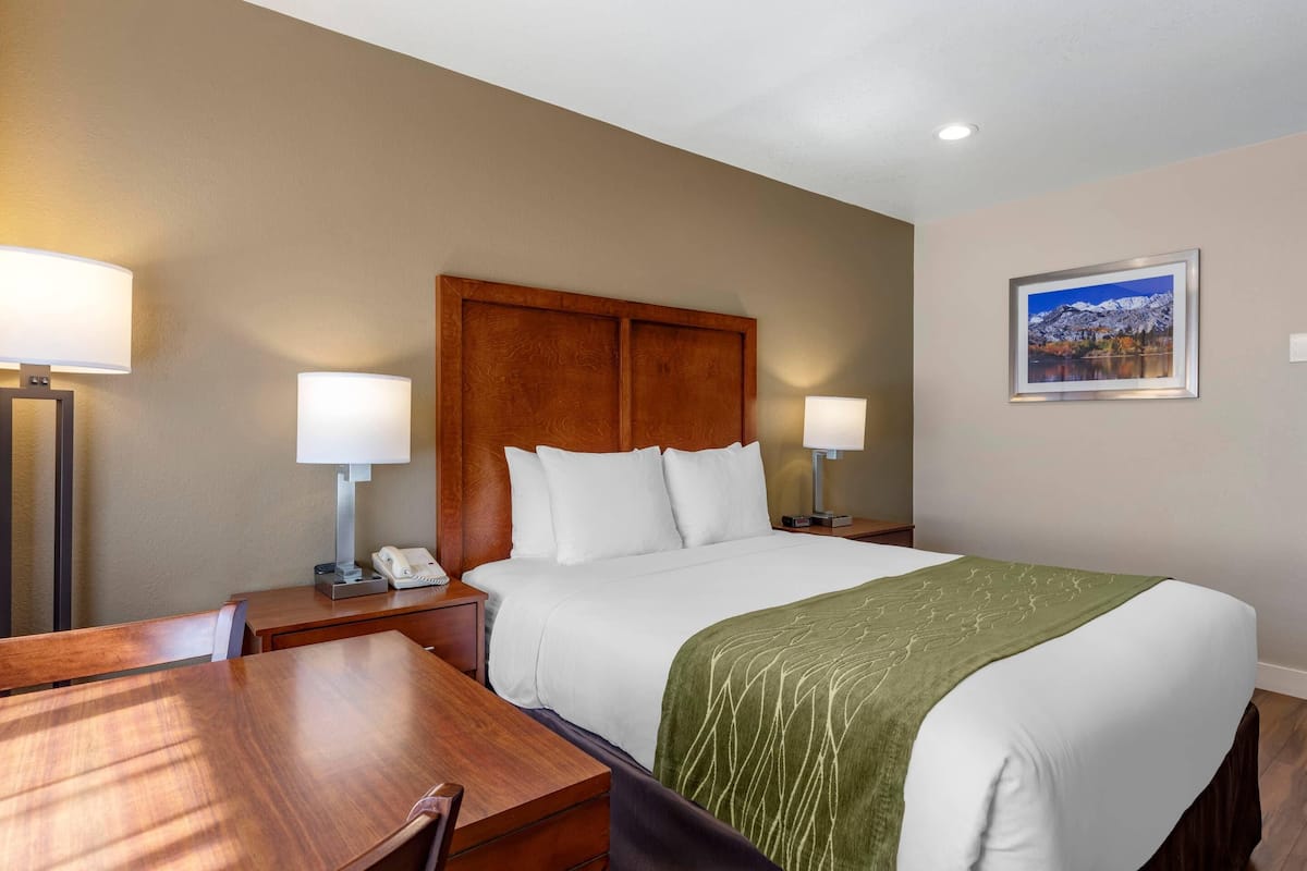 A hotel room with a bed, bedside tables, lamps, a desk, and a framed picture on the wall.