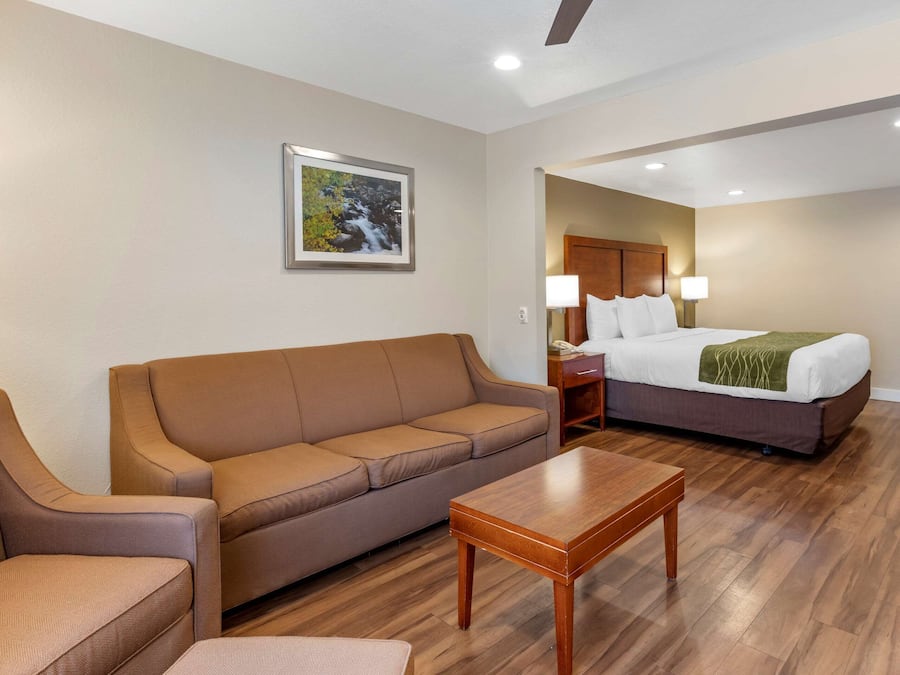 Suite, 1 kingsize bed met slaapbank, niet-roken | Een strijkplank/strijkijzer, babybedden, extra bedden, gratis wifi