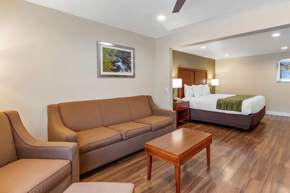 套房, 1 張特大雙人床和 1 張沙發床, 非吸煙房 | 熨斗/熨衣板、搖籃/嬰兒床、折疊床/加床、免費無線上網