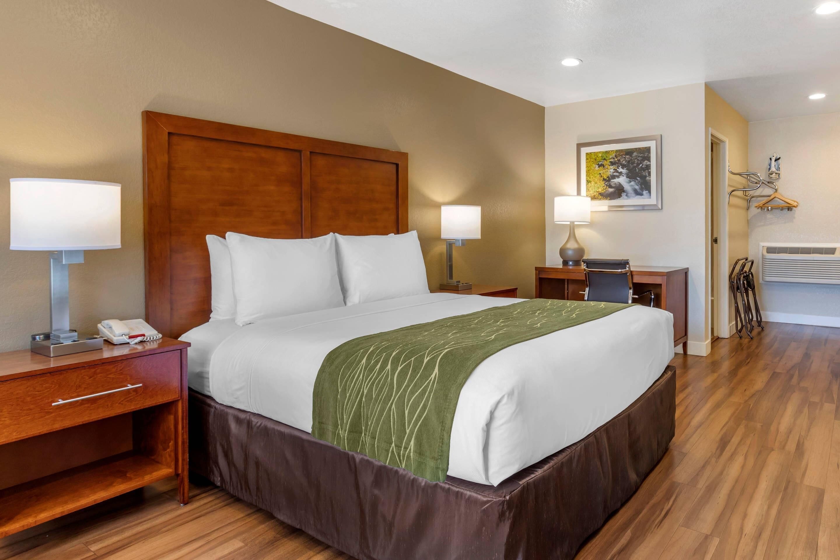 Standard Room, 1 Queen Bed, Non Smoking | Iron/ironing board, cots/infant beds, rollaway beds, free WiFi