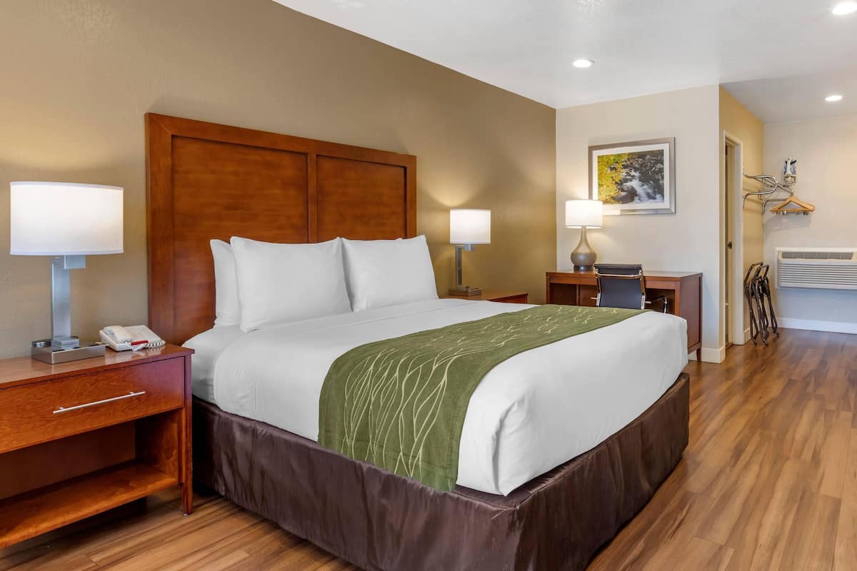 A hotel room with a wooden headboard, a bed with white linens, a green throw, a desk with a lamp, and a painting on the wall.