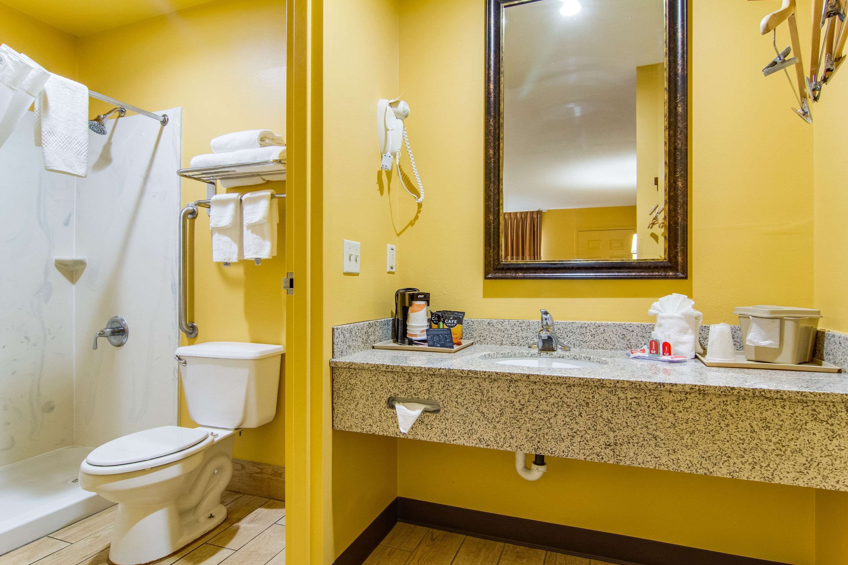 A bathroom with a toilet, shower, sink, and mirror.