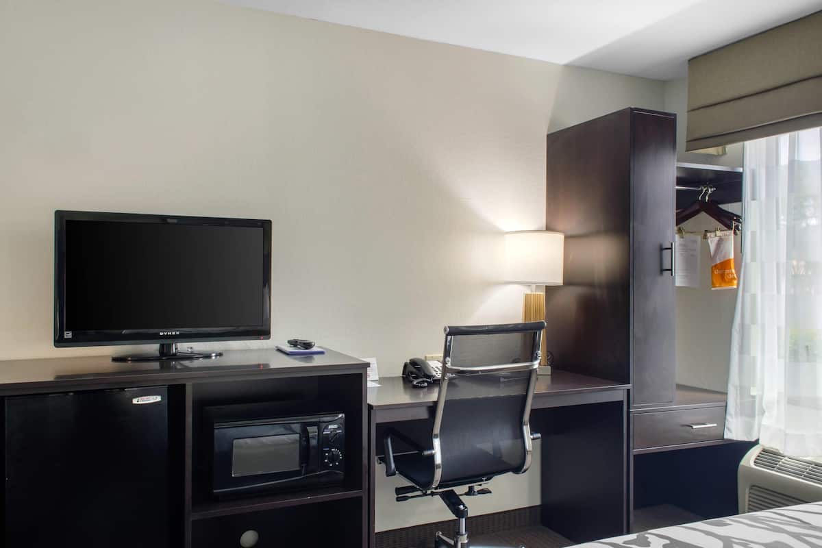 Room, 1 King Bed, Accessible, Non Smoking