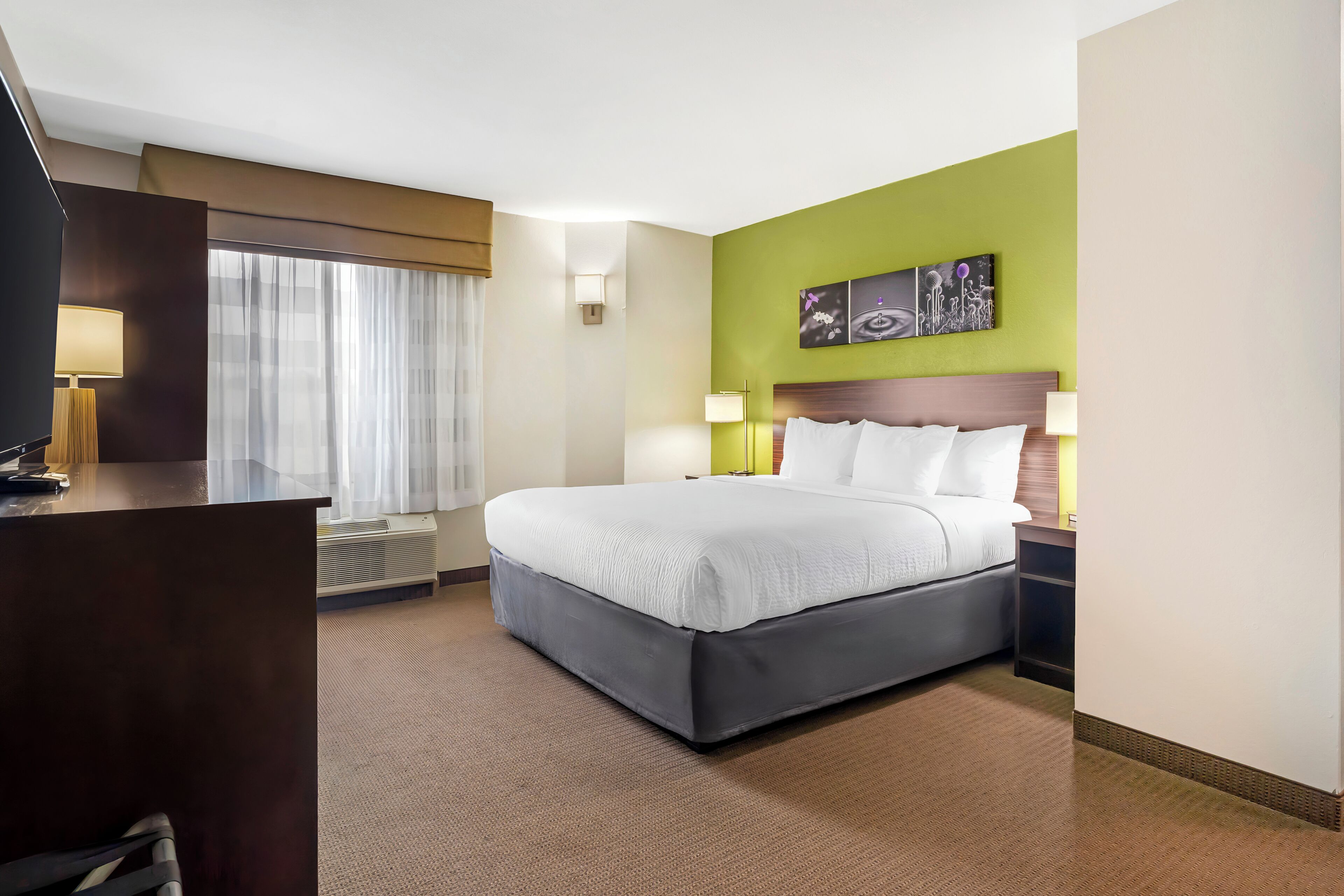 Room, 1 King Bed, Non Smoking | Premium bedding, desk, blackout drapes, iron/ironing board