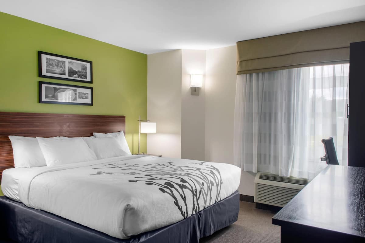 Room, 1 King Bed, Accessible, Non Smoking