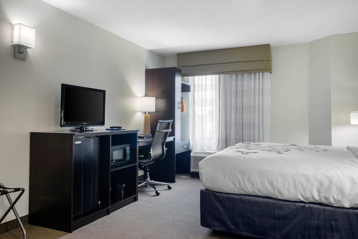 Room, 1 King Bed, Non Smoking