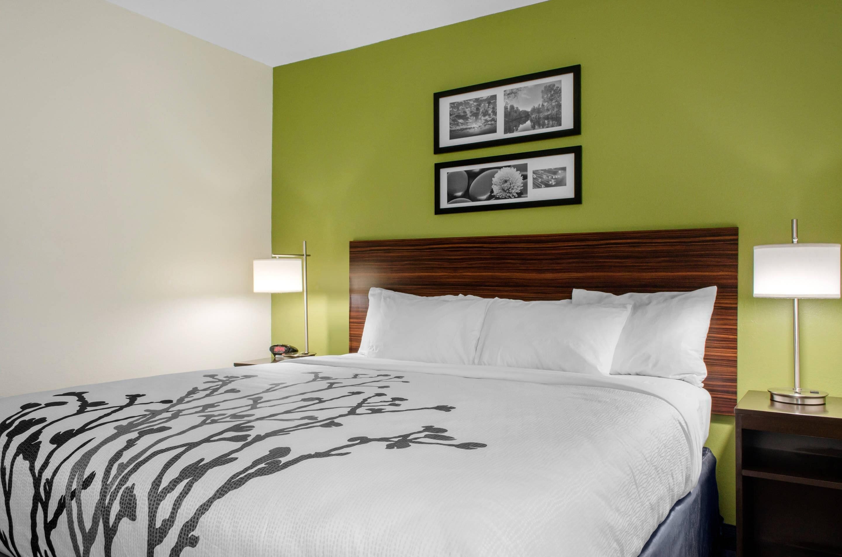 room, 1 king bed, accessible, non smoking | premium bedding, desk, blackout curtains, iron/ironing board