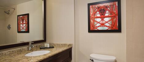 A bathroom with a granite countertop sink, a mirror, a toilet, and a framed artwork on the wall.