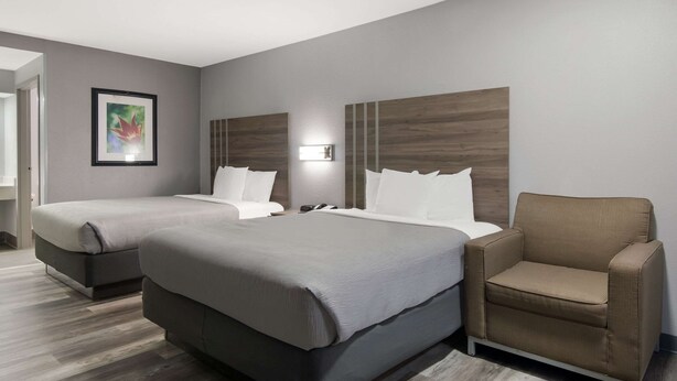 A hotel room with two beds, a sofa, and a nightstand. - Quality Inn near Casinos and Convention Center (Bossier City)