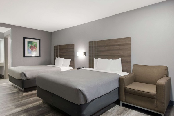 Premium bedding, desk, laptop workspace, blackout drapes