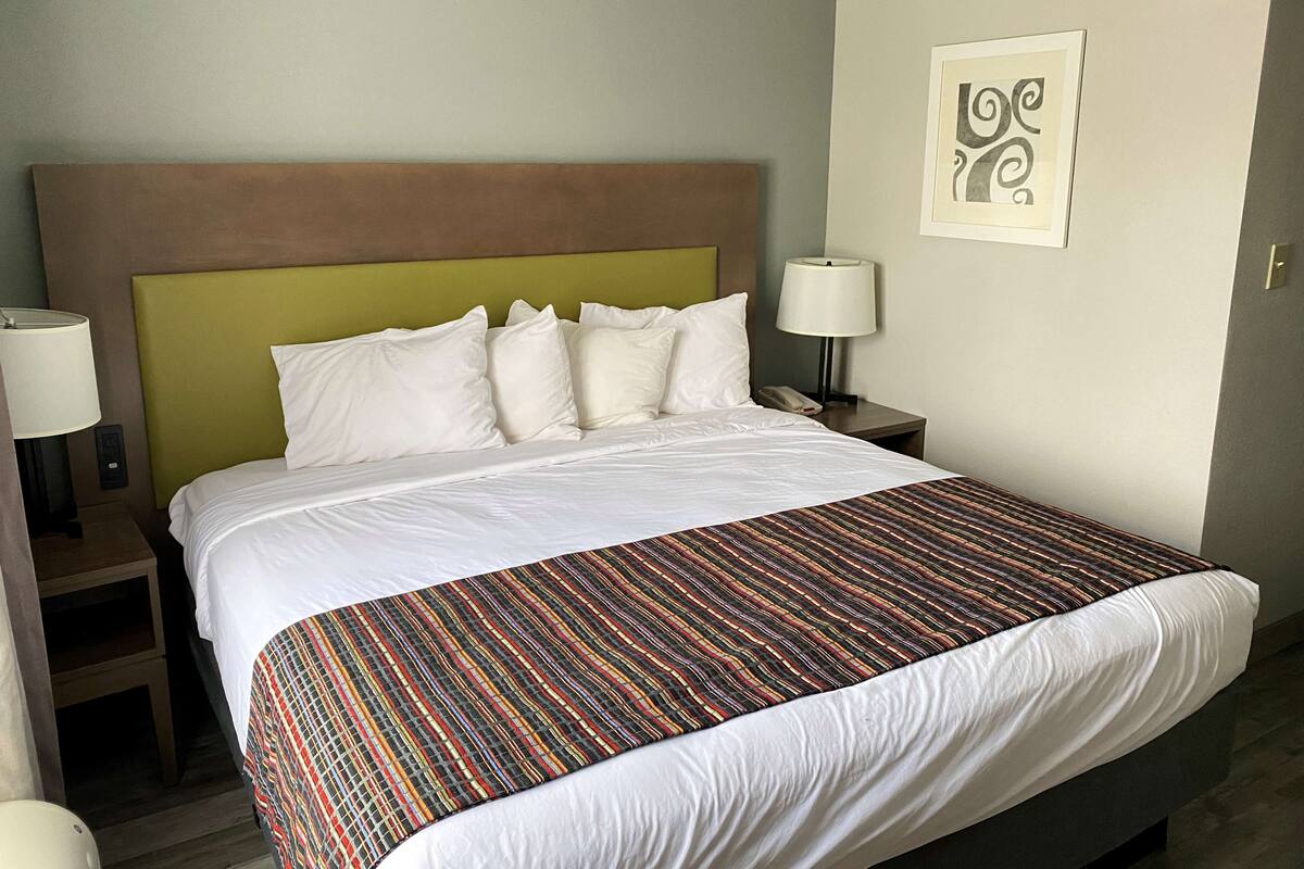 A hotel room with a bed, a nightstand with a lamp, and a wall-mounted artwork.