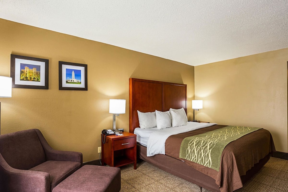 A hotel room with a bed, two chairs, a nightstand with a phone, and two framed pictures on the wall.