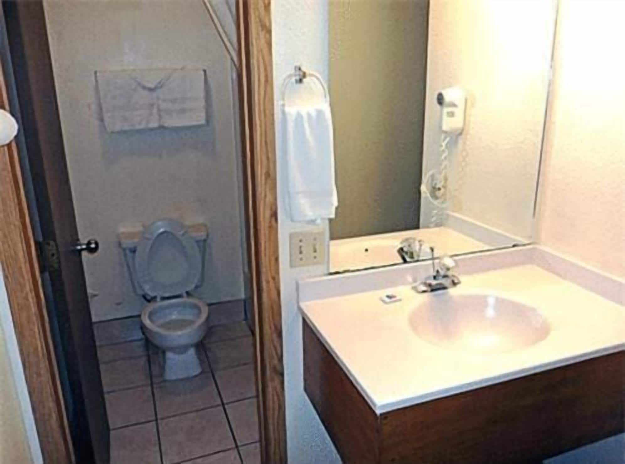 A bathroom with a toilet, a sink, and a mirror.