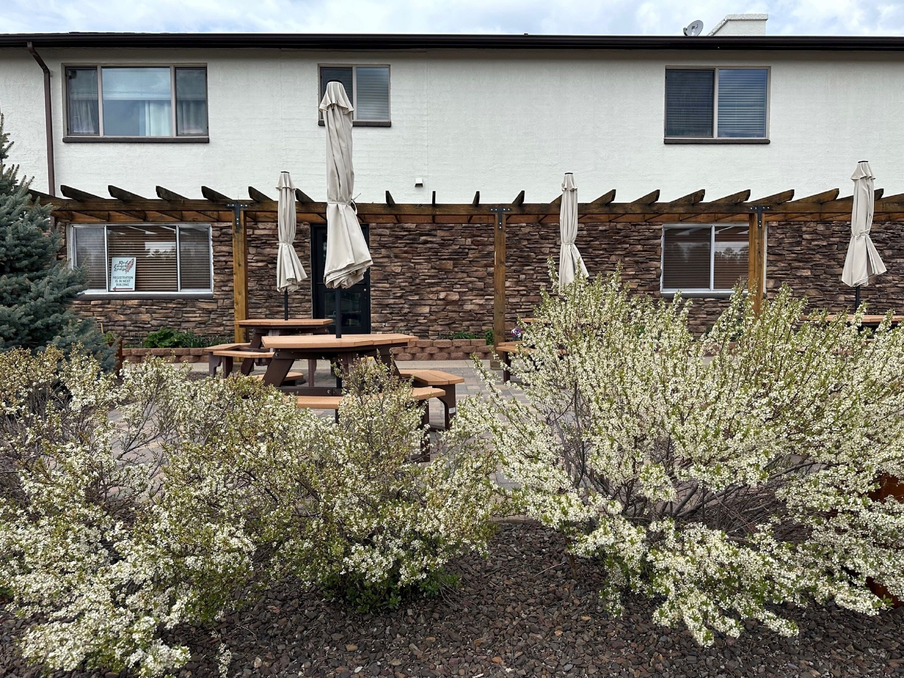 A building with a stone facade, outdoor seating with umbrellas, and flowering shrubs.