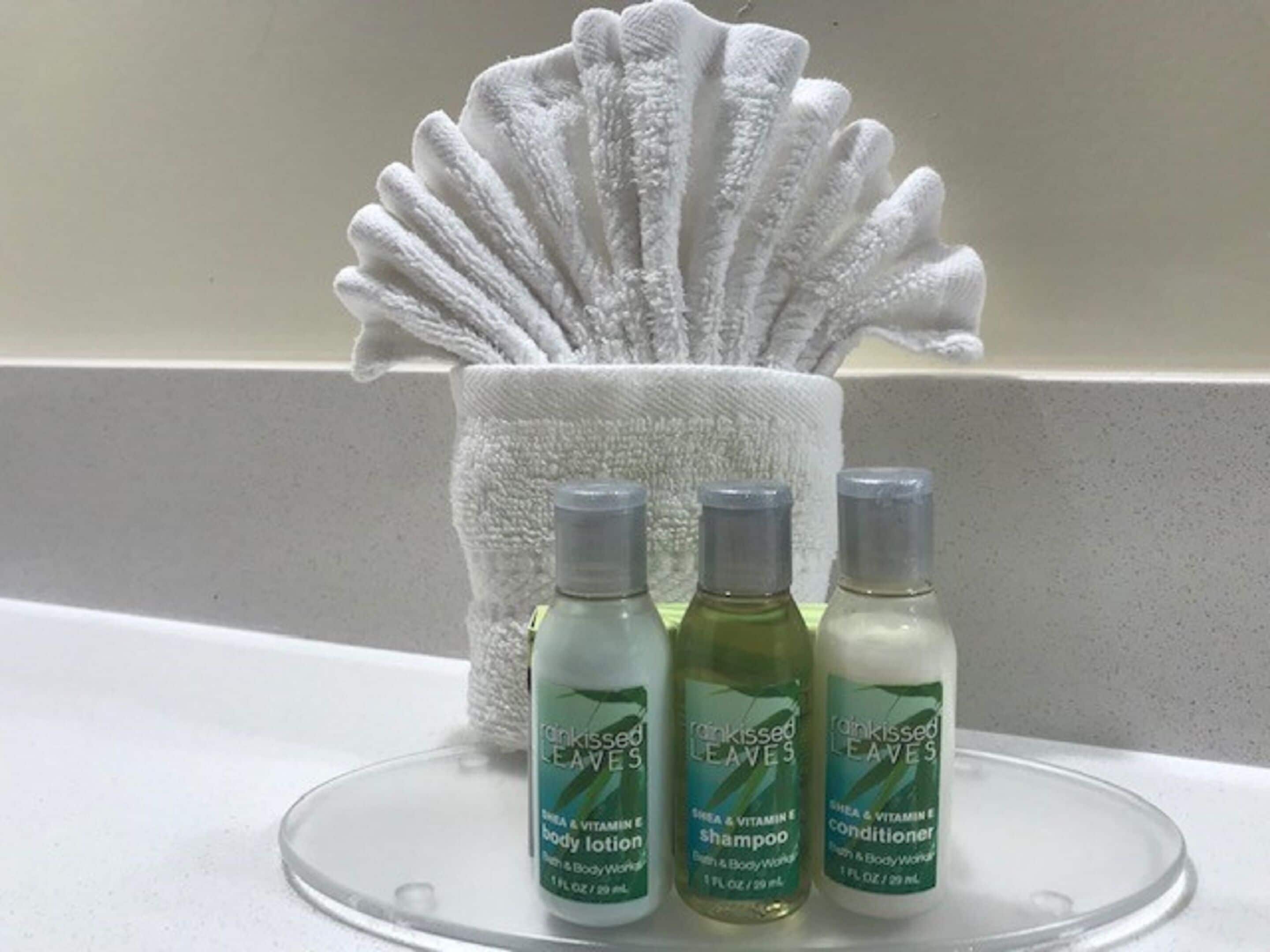 free toiletries, hair dryer