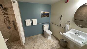 Une salle de bain équipée de toilettes, d’un lavabo et d’une douche. On y trouve des barres d’appui, un porte-serviettes et un tableau accroché au mur.