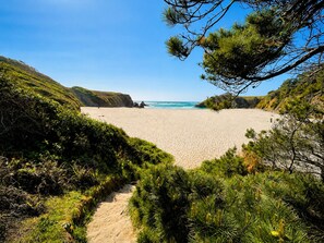 Una playa con un camino despejado que lleva a la orilla, rodeada de vegetación y con vistas al océano.
