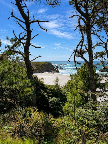 Seabird Lodge