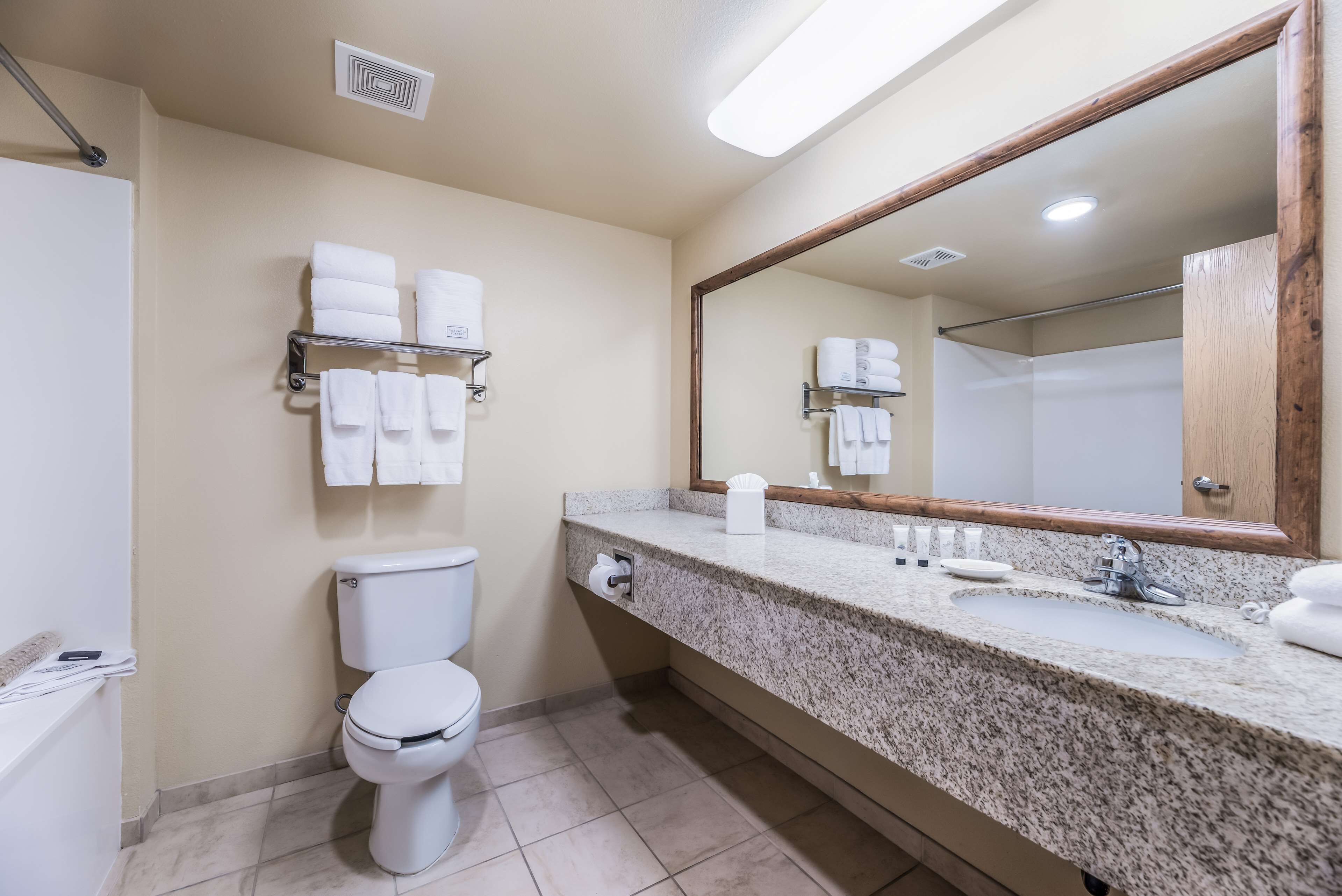 executive room, 2 queen beds | bathroom | free toiletries, hair dryer, towels